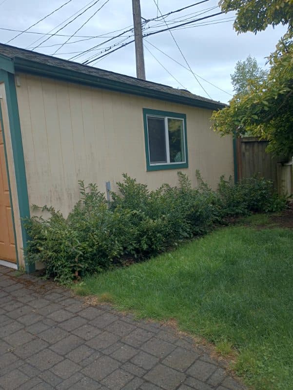 Hedge Trimming