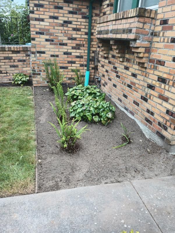 Bark / Mulch Installation