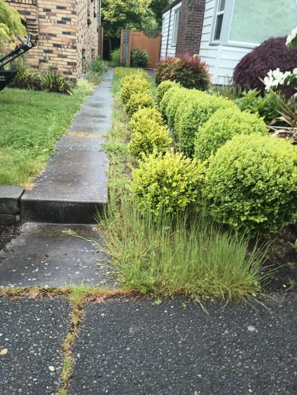 Pressure Washing
